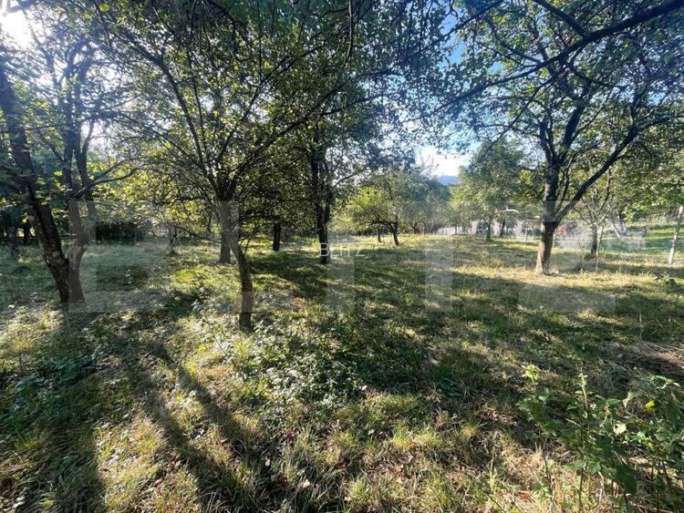 Casa de vanzare, 70 mp , teren de 3000 mp , Cacova Ierii  - 7