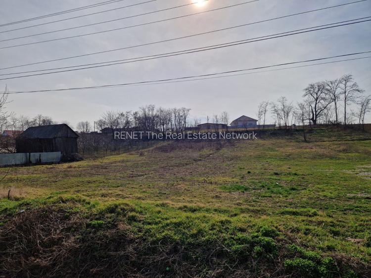 Teren - Roman  -Trifesti  - 6