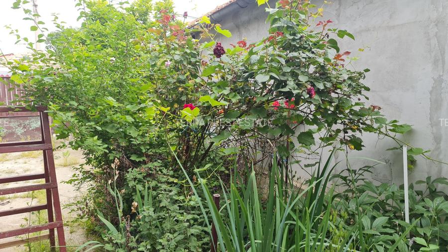 Casa individuala Voluntari zona Metro superpret!!! - 3