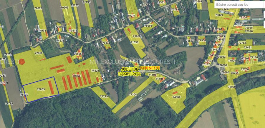 HALĂ INDUSTRIALĂ DE VÂNZARE – DB, CĂTUNU (TVA inclus) - 8