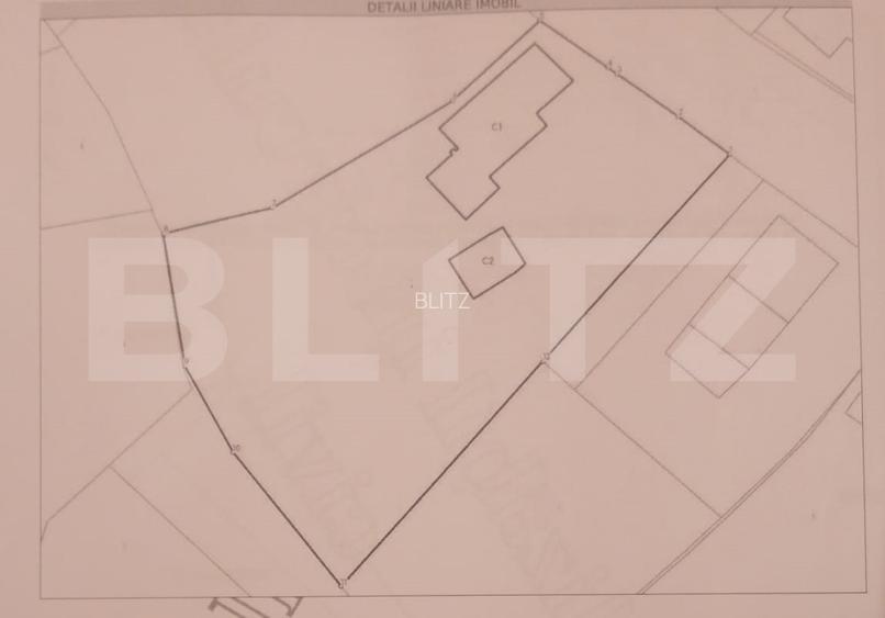 Proprietate cu 2 case, una fiind traditionala, Dezmir  - 20