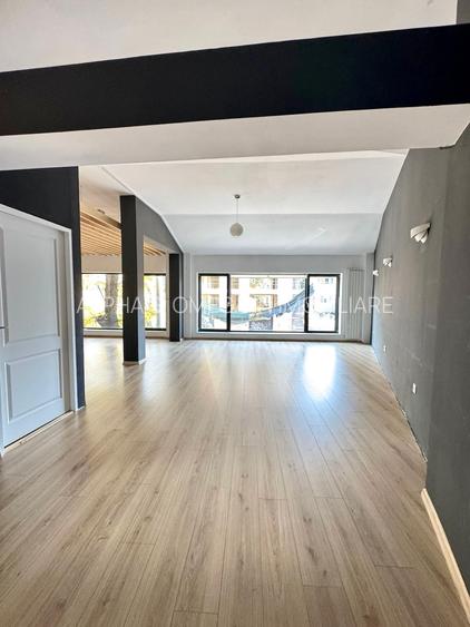 Imobil independent , folosit ca si spatiu comercial - 12