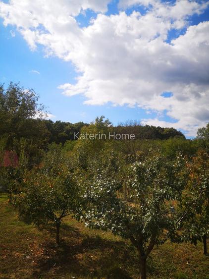 Vanzare Casa cu acces direct la padure in Valea Cucului, Comuna Iordacheanu - 14