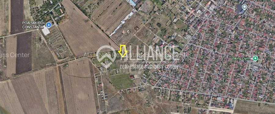 VIILE NOI - Teren în spate la Vila Cucoanei - 2