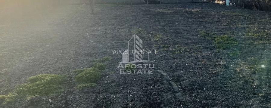 Casa veche cu teren de 1284 mp in Recas - 2