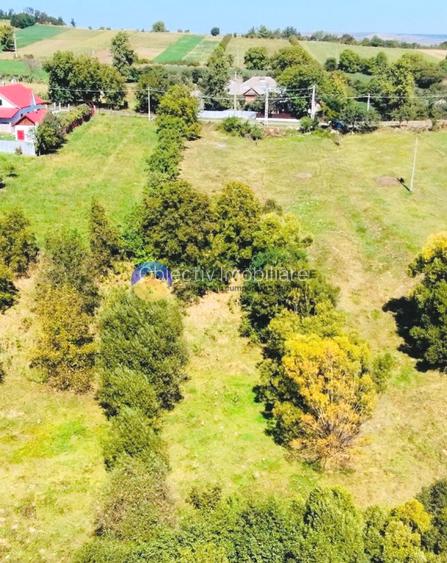 TEREN intravilan  2510 mp BORLEȘTI - ȘOVOAIA - 7