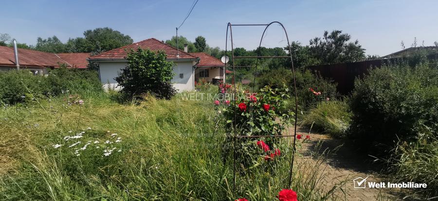 Casa individuala cu teren mare, 2 surse de apa, Moldovenesti-Cluj - 2