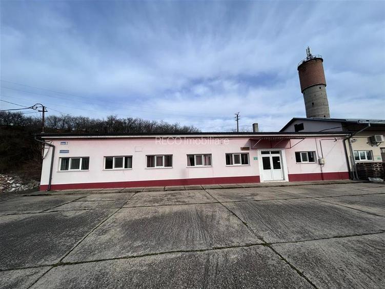 Hala industriala de vanzare in Marghita – 650 mp hala + birouri 200 mp, teren 34 - 37