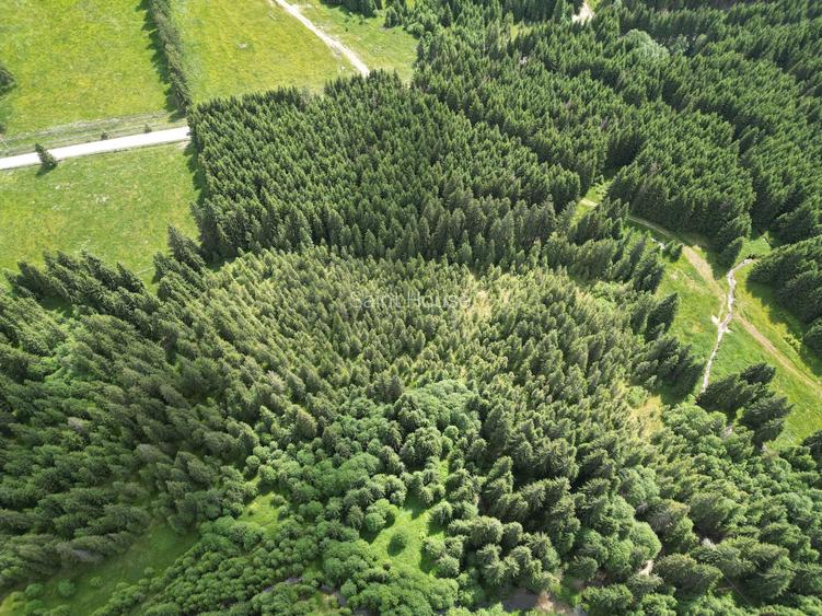 Teren extravilan 5000 MP Comandau - 12