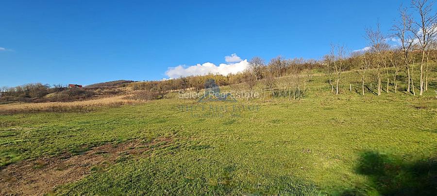 Teren intravilan\constructii \Sura Mare \ Sibiu - 6