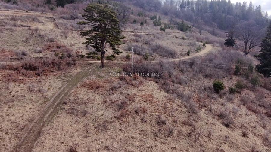 Teren 1751 mp Scaricica - comuna Alexandru cel Bun - 4