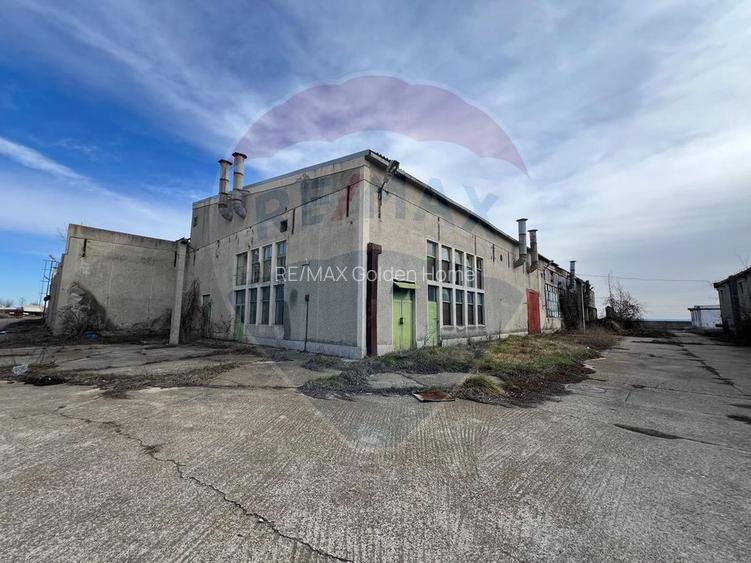 Spațiu industrial vinificatie Dobrinesti - 4
