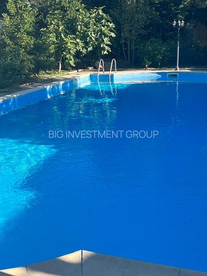 vila lac Buftea - 15