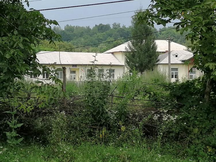 Curte 1512/3025mp , Bughea de Jos, 5 min Valeni PH - 13