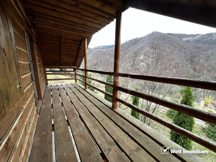 Oportunitate unica! 5ha + 2 cabane de vacanta in Valea Ierii - 15
