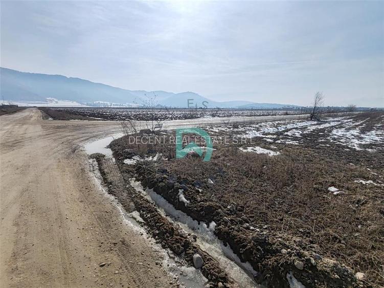 Vanzare teren intravila industrial, 10480 mp, centura Brasov - 6