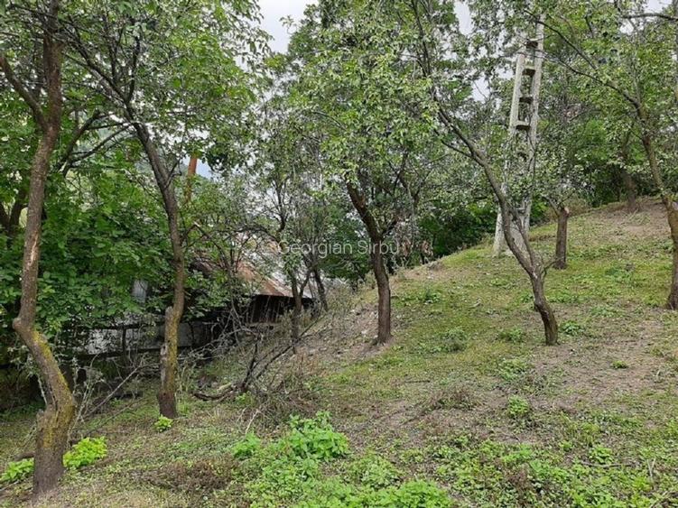 Teren intravilan de vanzare Basca Chiojdului - 6