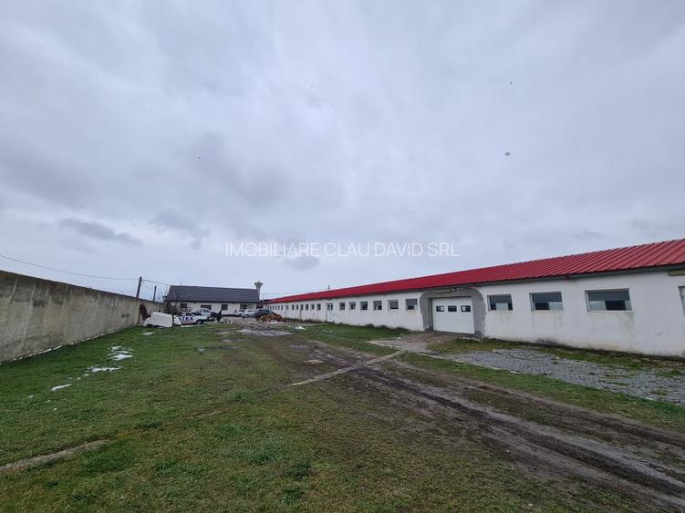 Oportunitate Unica: Teren Intravilan cu Hală de productie și Casă Modernă - 2