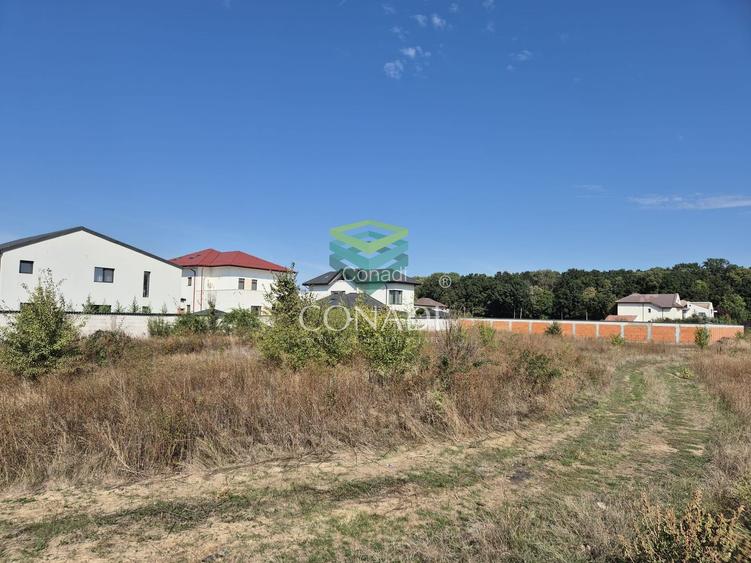 Teren de vanzare - Voluntari - zona Matei Millo - 3