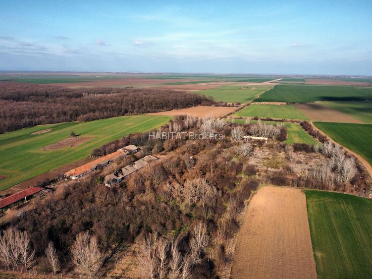 Ferma si livada de meri in judetul Ilfov - 17