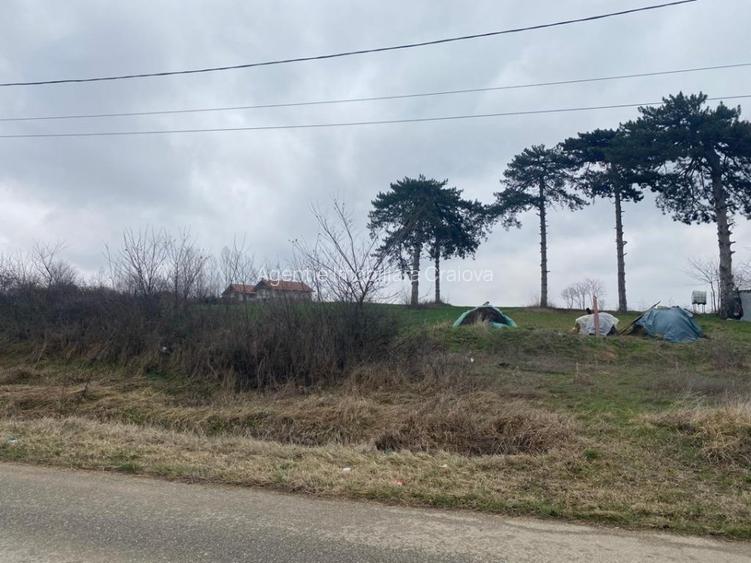 Comision 0%! Panorama superba, intravilan, 7631mp, front stradal 87m - 3