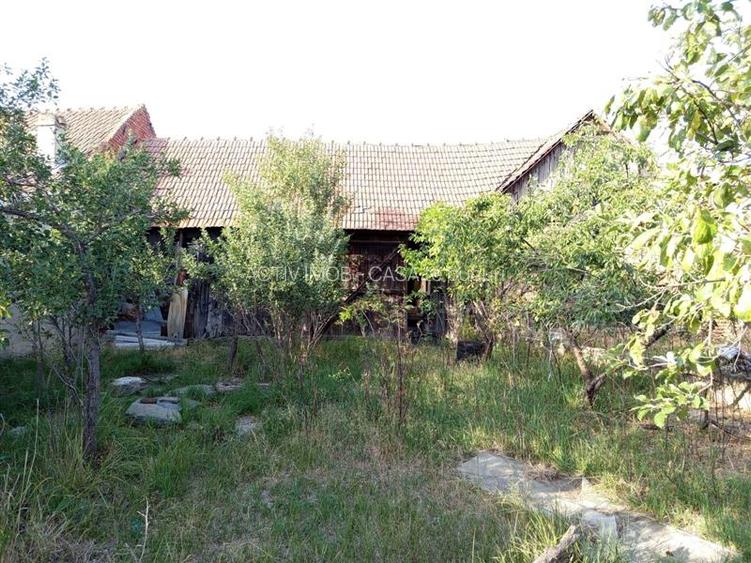 Berliste, Casa 6 Incaperi, 1129mp Teren, Pret Negociabil - 14