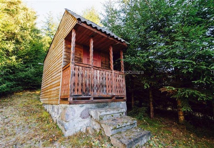 Casa de vacanta (Gheorgheni, zona Magasbukk) - 6