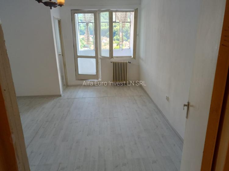 Garsoniera cu vedere spre munte - 4