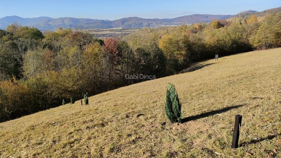 Teren de vânzare Bran Tohanita!  - 3