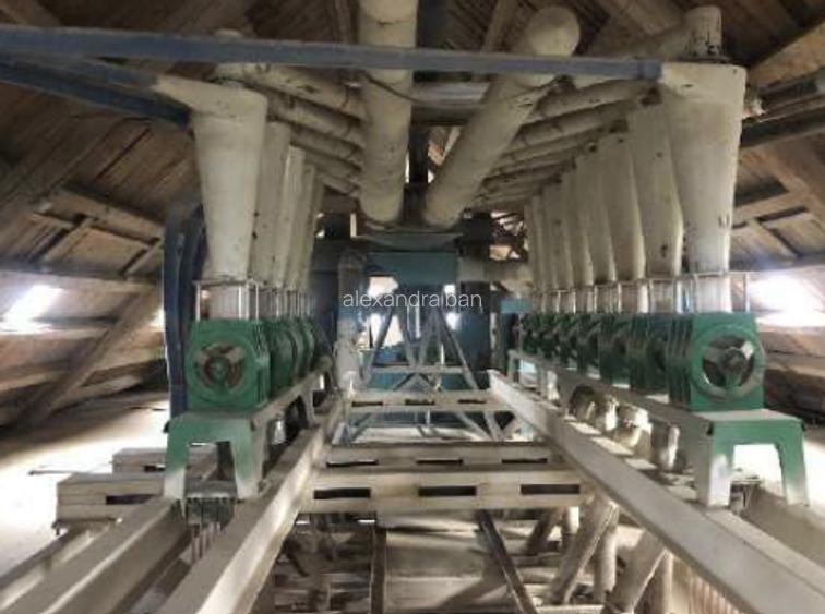 Moară cereale 50 t/zi + afacere funcțională | teren + hale | Bihor - 5