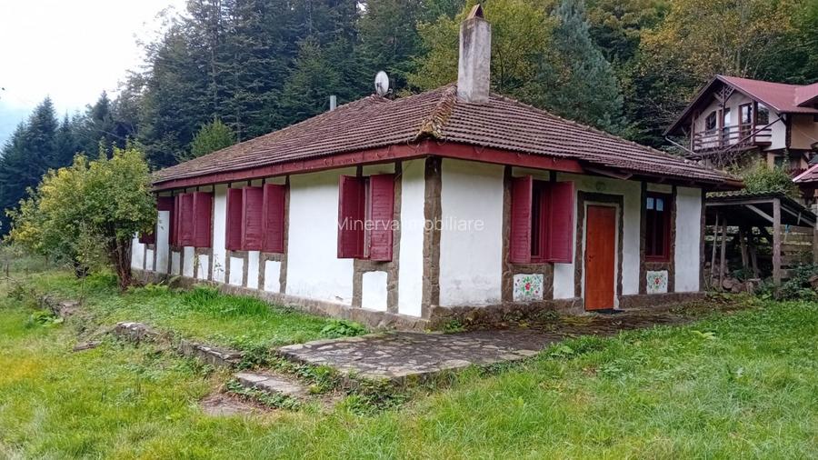 Casa de vacanta Crivaia, langa Valiug –locatie idilica, ideala pentru timp liber - 3