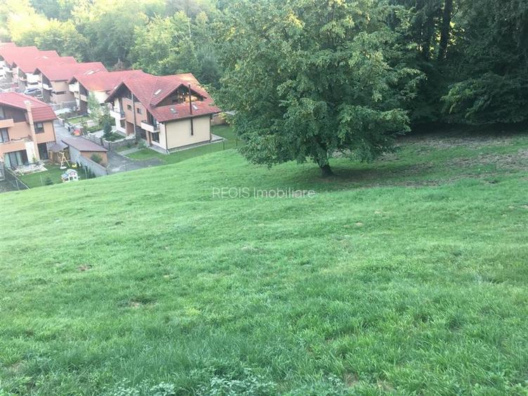 Teren pentru dezvoltatori, 2900mp Noua-Darste - 2