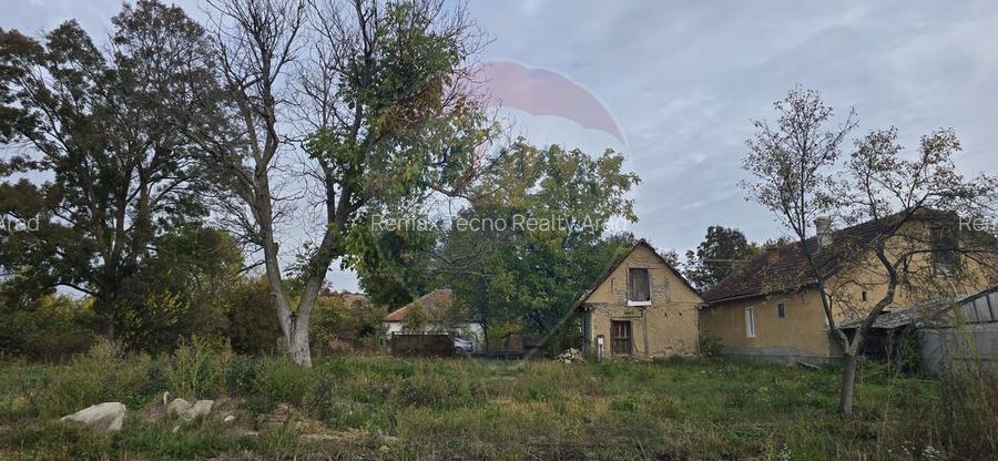 Teren generos cu potential în comuna Silindia, judetul Arad - 7