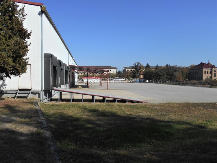 Hala industriala cu pod rulant de inchiriat Lugoj - 8