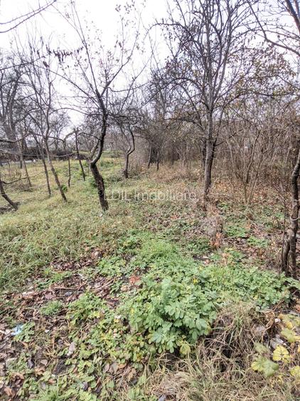 Casă de vânzare, 2 camere, 60 mp, 900 mp teren Dâmbul Rotund zona Dedeman - 17