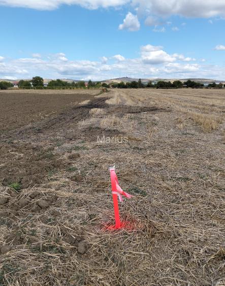 7089 mp la DN1B, intravilan cu deschidere 17,54m, Valea Calugareasca