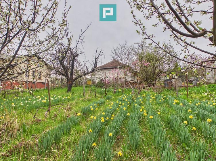 Ieftin - Casă cu teren 842mp, zona Dealuri, Oradea - 15