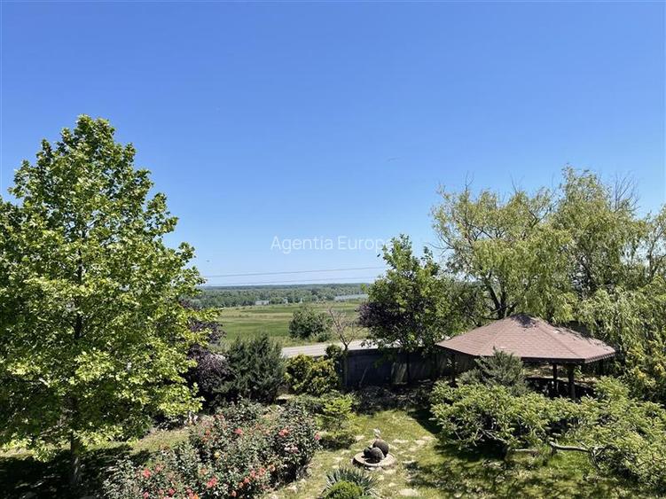 Casa P+M de vanzare in Nufaru - 4