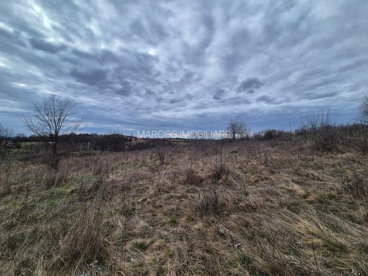 Vand 2 parcele de 5700 mp zona Iabalcea - 8