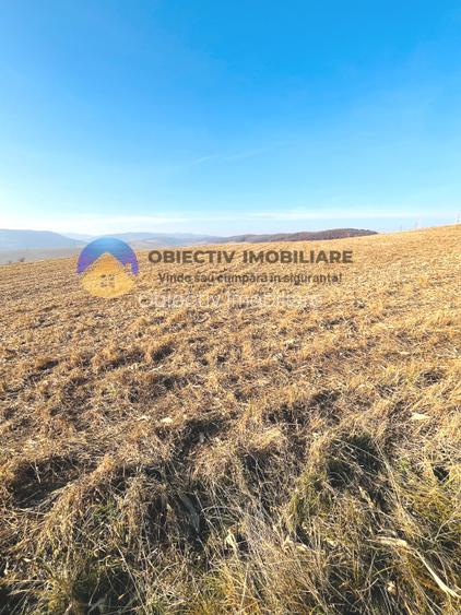 TEREN intravilan  comuna GARCINA - 6