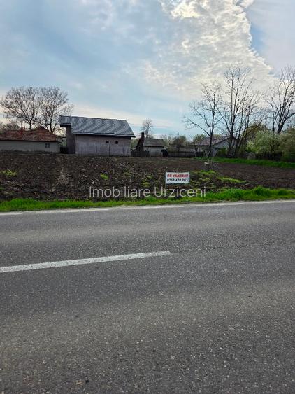 Teren intravilan Movilita 40km de Bucuresti 2 loturi de 500mp - 4
