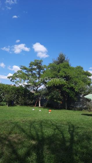  Vând teren Drumul Lunca Prutului - 2