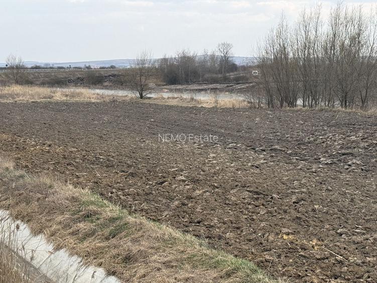 Teren extravilan | Rădăuți | 36 ARI - 5