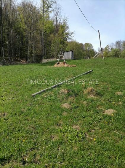 Vanzare teren exceptional, Valea Doftanei, Florei-Secaria, 22000mp, 250 000 euro - 7