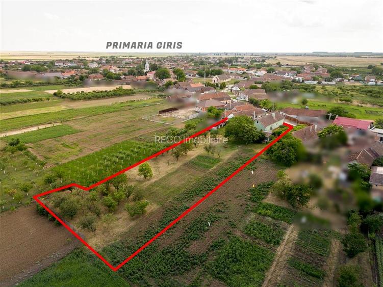RECO Proprietate cu 2 case si teren mare in Girisu de Cris - 39