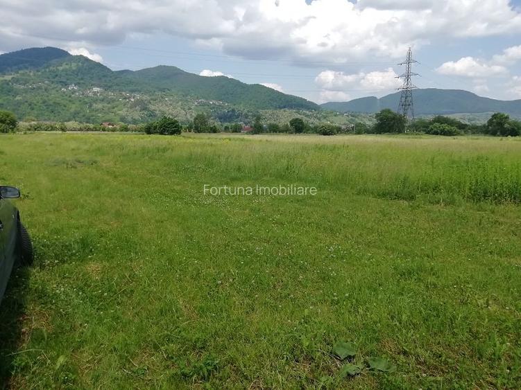 Teren Vaduri, com.Al.cel Bun - 3