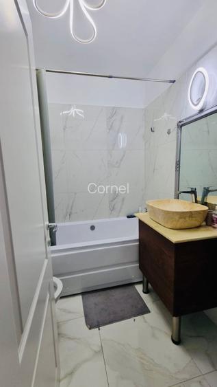 Apartament cu 2 camere de inchiriat in sector 6 - 4