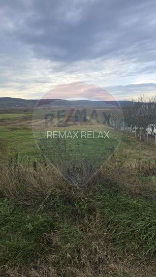 Teren intravilan si extravilan 8,282mp oras Negresti, judetul Vaslui - 3