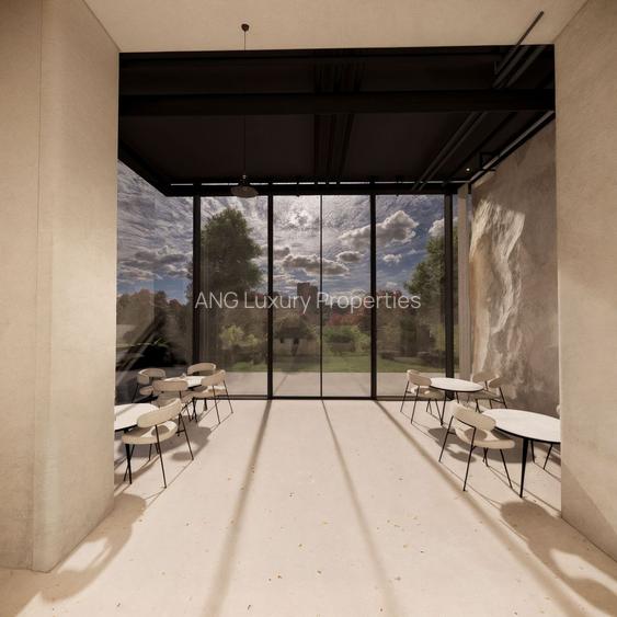 Spatiu comercial de inchiriat – parter, zona premium Aviatiei - 4