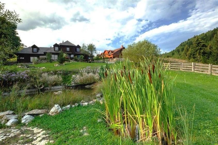 Raritate| Teren intravilan de vis de  6 ha de vanzare in Pestera Brasov - 2